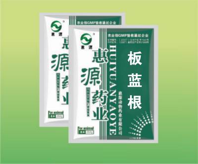 板藍根
