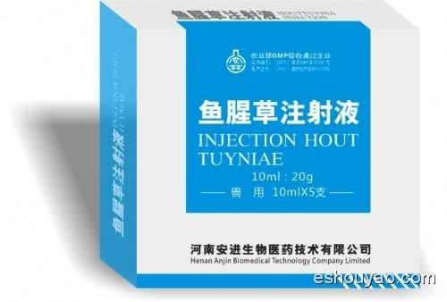 魚腥草注射液