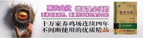 蛋雞提高產蛋率、.