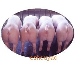 興旺豬藥批發