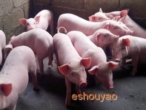 興旺獸藥批發